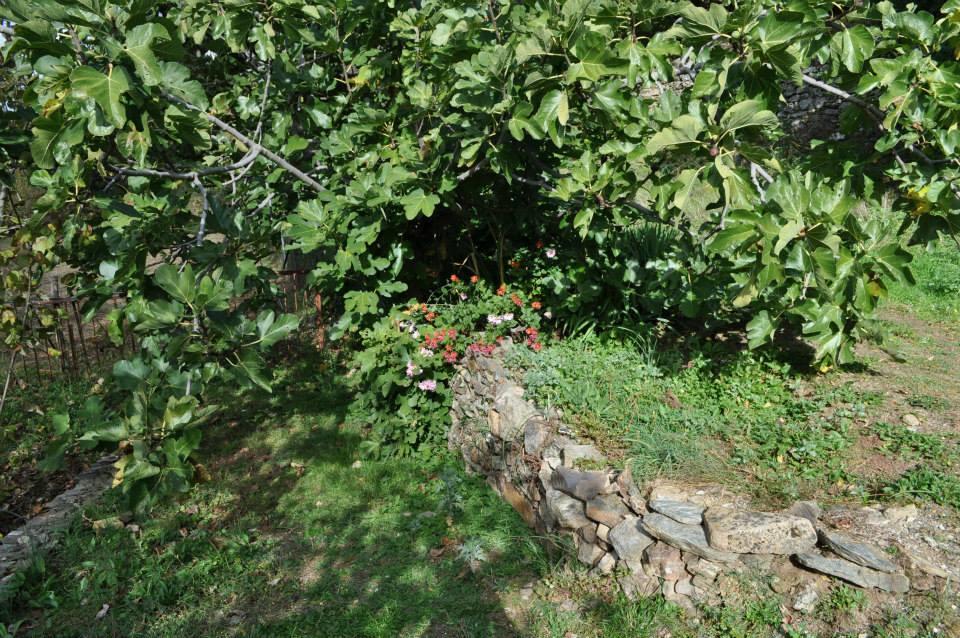 Mattale Villa Tonara Eksteriør billede