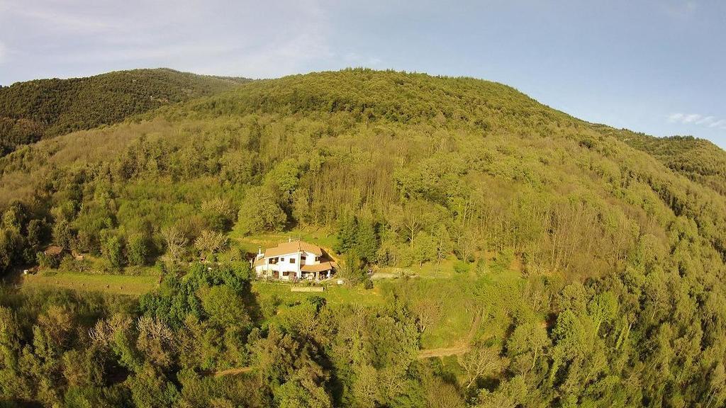 Mattale Villa Tonara Eksteriør billede